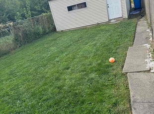 Prince O.'s Lawn Maintenance service result