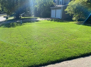 Tammy D.'s Lawn Service service result