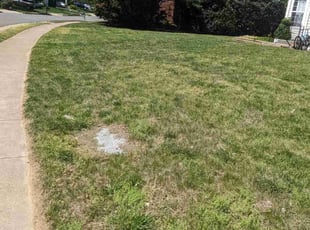 Cleanups by Roscoe Carr for Mohammad I. in Woodbridge, VA