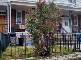 Bush Trimming by William Perdigon for Amy D. in Philadelphia, PA