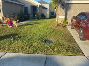 Darrell P.'s Lawn Mowing service result