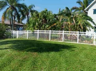 Leandro G.'s Lawn Mowing service result