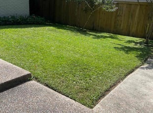 Maria D.'s Grass Cutting service result