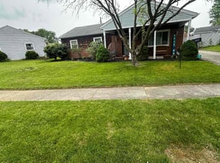 Tracy C.'s Lawn Mowing service result