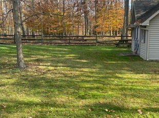 Leaf Removal by Michael King for Maura B. in Seven Hills, OH