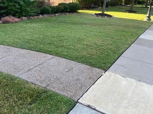 Vivian G.'s Lawn Mowing service result
