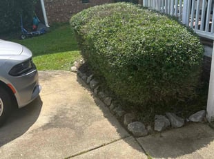 Bush Trimming by Billy Bryant for Chantell G. in Clayton, NC
