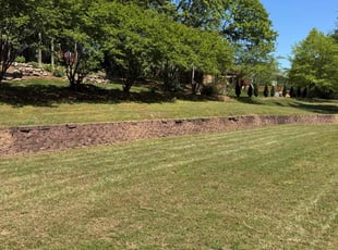 Marty L.'s Lawn Mowing Service service result