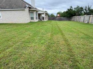 Pamela M.'s Lawn Mowing Service service result