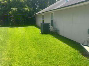 Carla B.'s Lawn Mowing service result