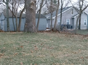 Leaf Removal by Shonna Wilkinson for Heather R. in Des Moines, IA