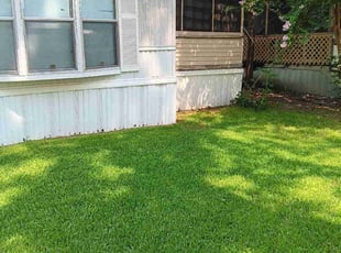 Allison M.'s Lawn Mowing service result
