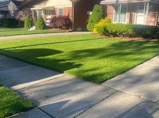 Stacey Z.'s Yard Cutting service result