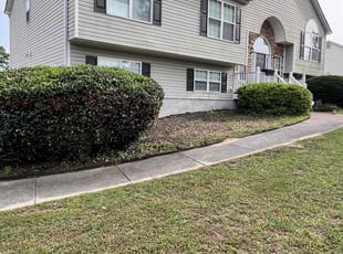 Bush Trimming by Marc Yero for Ameera B. in Powder Springs, GA