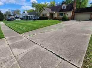 Eloise M.'s Lawn Mowing service result