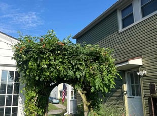 Bush Trimming by Leroy Green II for Patrice R. in Columbus, OH