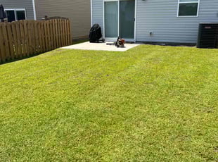Charles K.'s Lawn Mowing Service service result