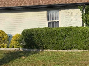 Bush Trimming by Marco Jackson for Joshua H. in Tulsa, OK