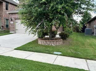 Bill M.'s Yard Cutting service result