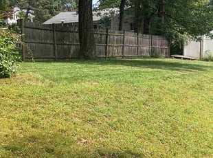Connie P.'s Lawn Mowing service result