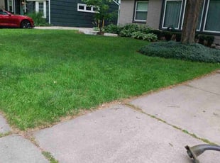 Margaret W.'s Lawn Mowing service result