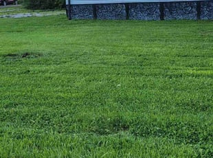 Brittany W.'s Lawn Mowing service result