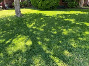 JOEY W.'s Lawn Care service result