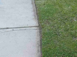 Eric C.'s Lawn Mowing service result
