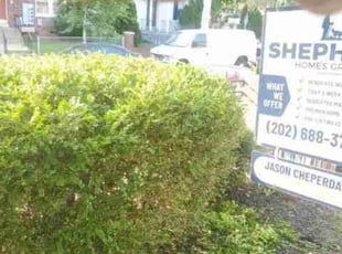 Bush Trimming by Chris Stewart for Olivia E. in Washington, DC