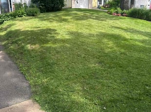 Collin T.'s Lawn Service service result