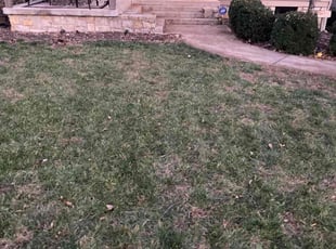 Leaf Removal by Tim Kirkpatrick for Ashley J. in Kansas City, MO