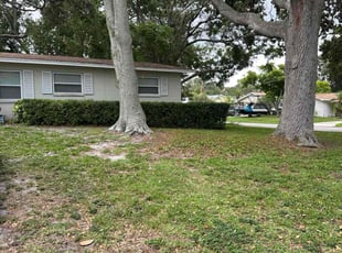 Bush Trimming by Bryan Redmon for Kay P. in Seminole, FL