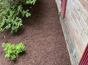 Mulching by Juan Wong for Stuart D. in Spring, TX