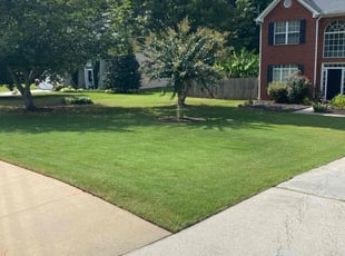 George Anna P.'s Grass Cutting service result