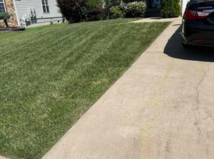 Marta M.'s Grass Cutting service result