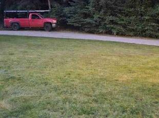 Connie M.'s Yard Cutting service result