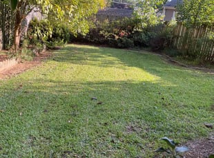 Cheryl L.'s Grass Cutting service result
