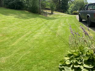 Lauren P.'s Lawn Maintenance service result