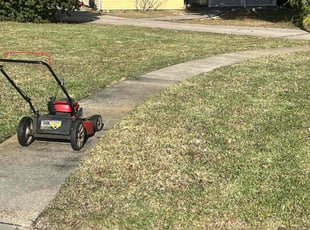George C.'s Grass Cutting service result