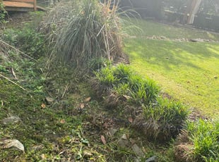 Weeding by Brandon Medlin for James w. in Cary, NC