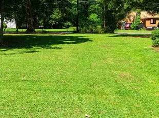 Linda R.'s Lawn Maintenance service result