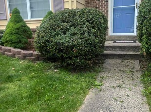 Bush Trimming by Alberth Alvarez for Thomas D. in Woodbridge, VA