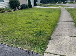 Bush Trimming by Jerardo Martinez for Makiyah B. in Canal Winchester, OH