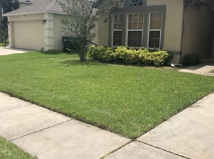 Helio L.'s Lawn Mowing service result