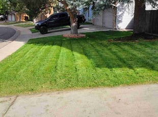 Bobby D.'s Lawn Mowing service result