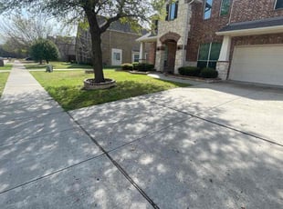 Brian H.'s Lawn Mowing service result