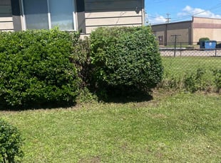 Bush Trimming by Brian McMiller for Amanda B. in North Little Rock, AR