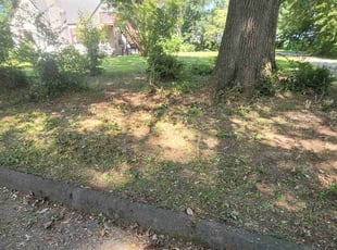 Cleanups by Nathan Christiansen for Mikayla T. in Chattanooga, TN