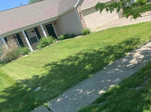 Angela P.'s Lawn Service service result