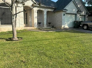 Kfir G.'s Lawn Maintenance service result